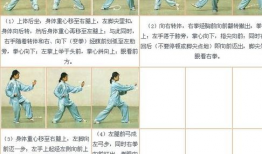 二十四式太极拳教学视频,入门必看，轻松掌握太极拳精髓