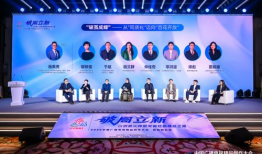 国产精品汇聚,匠心独运映辉煌